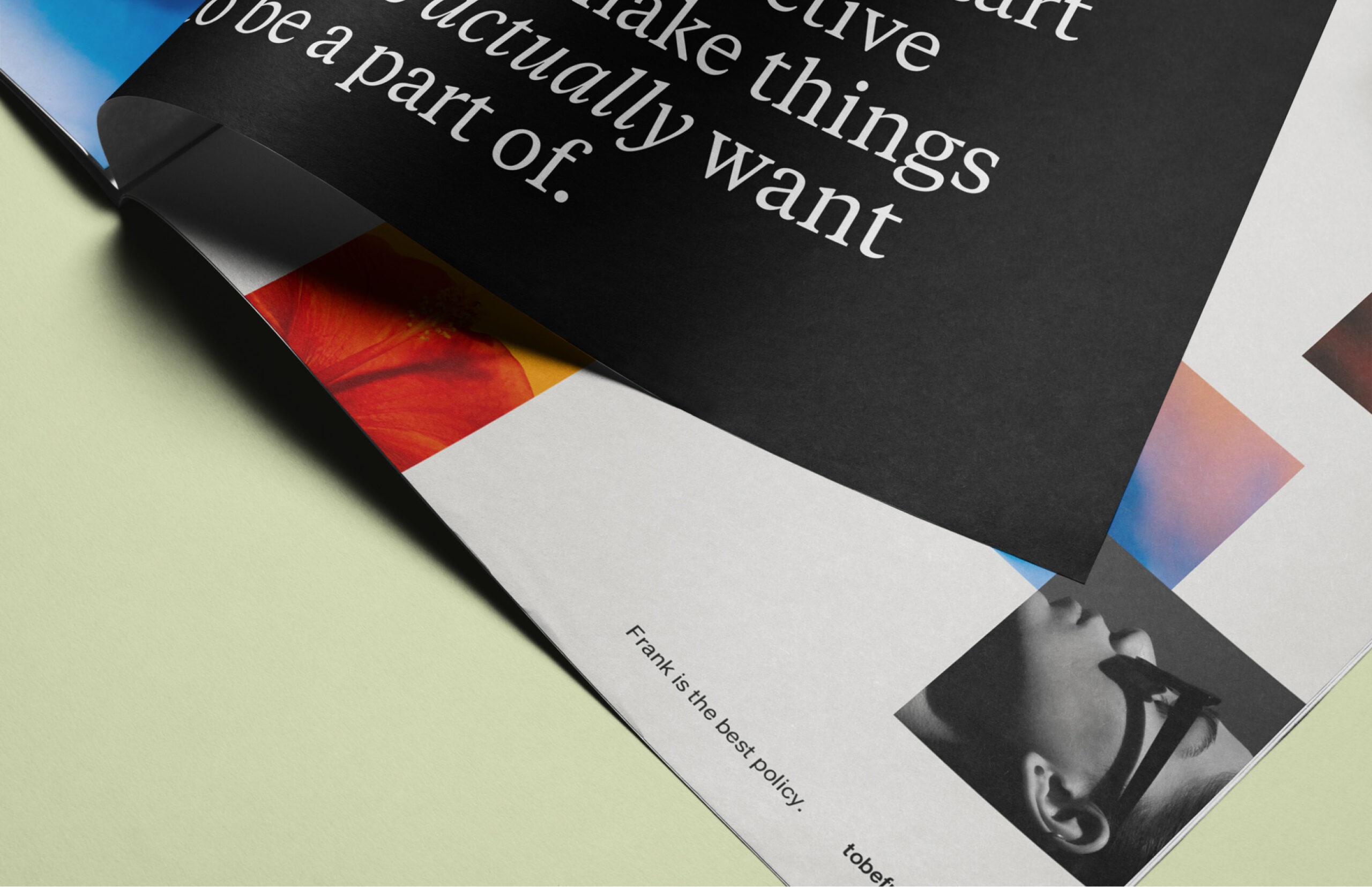 MISKASTUDIO_Project_Frank_11